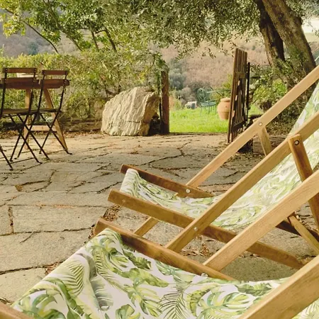 La Sbilenca Casa Indipendente Con Ampio Giardino Appartamento *