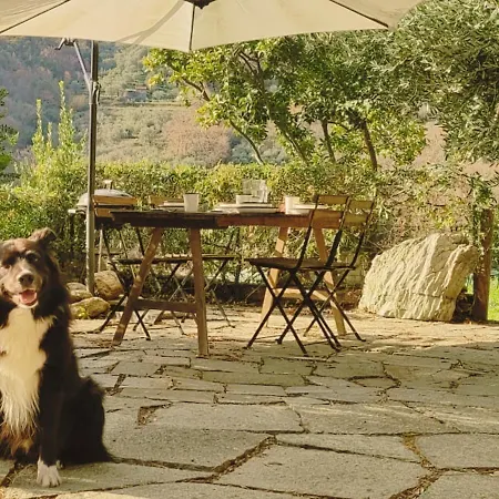 La Sbilenca Casa Indipendente Con Ampio Giardino Appartamento