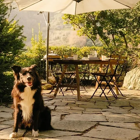 La Sbilenca Vacanze In Ex Monastero A 5 Chilometri Dal Mare - - Finale Ligure - Pet Friendly Apartmán